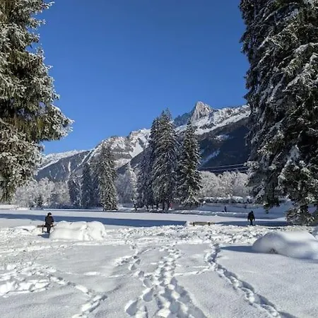 Chalet Des Glaciers